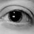 Jessica Williamson-Scott's profile image