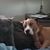 Pamela Richards's profile image