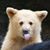 David Blum's profile image