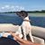 Wendy Simone's profile image