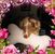 Catherine Daniels's profile image