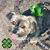 Susan H Turner's profile image