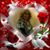 Karmen Soto's profile image
