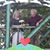 Tony Wallis's profile image