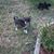 Christine Centuolo Weklar's profile image