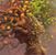 Debbie Milligan's profile image