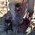 Debbie King's profile image