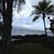 Angela L. Hollis's profile image