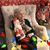 Shelley Miller ONeill's profile image