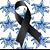 Sue Webb's profile image