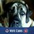 Bob Wittig's profile image