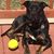 Sonny Black's profile image