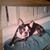 Jeffrey Grigsby's profile image