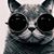Lois Proctor's profile image
