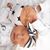 Steph Johnson Harrigan's profile image