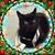 Gina Keough's profile image