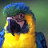 So You Say's profile image