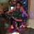 Carol Markey Kelvey's profile image
