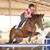 Allie Wicks Equestrian Page's profile image