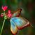 Shari Eiland Palermo's profile image