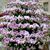 Vilma Castillo's profile image