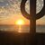 Bonnie Leeper Evans's profile image