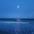 Lynn Bowley's profile image