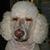Barbara Robertson's profile image