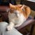 Tammie Lohner's profile image