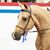 Amy Stangl's profile image
