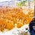 Pavithra Rao's profile image