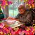Dennis Flynn's profile image