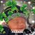 John McCabe's profile image