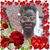 Shakima Wise's profile image