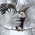 Marta Obucina's profile image