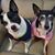 Amy Cagle Efird's profile image