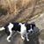 Marlene Oberst Galaszewski's profile image