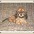 Marc L. Feldman's profile image