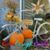 Janet Scott Froelich's profile image