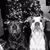 Traci Hambly's profile image