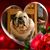 Jeanne Garn's profile image