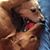 Nancy Houghtby's profile image