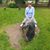Sofie Persson's profile image