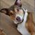Jenifer Cooley's profile image