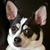Christine Anderson's profile image