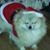 Judy Rachow Keech's profile image