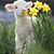 Cheryl Wilson's profile image