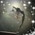 Linda Jeschke Wilkie's profile image