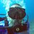 John Alfred Taylor's profile image