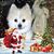 Marie Buschenko's profile image